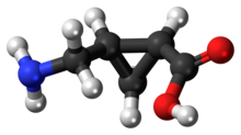 (+)-CAMP molecule