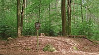 Naturdenkmal „ND WL 00003“ im Landkreis Harburg (Niedersachsen): Kleines Hünengrab „Klecker Wald“