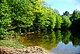 Pond with trees