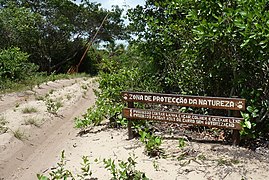 La porte d'entrée (Gate) des dunes de Dovela - panoramio.jpg