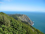 View from Tūteremoana, looking south along the steep cliffs towards Kaiwharawhara Point