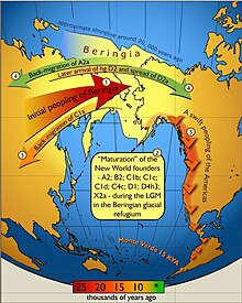 Schematic illustration of maternal geneflow in and out of Beringia.Colours of the arrows correspond to approximate timing of the events and are decoded in the coloured time-bar. The initial peopling of Beringia (depicted in light yellow) was followed by a standstill after which the ancestors of indigenous Americans spread swiftly all over the New World, while some of the Beringian maternal lineages–C1a-spread westwards. More recent (shown in green) genetic exchange is manifested by back-migration of A2a into Siberia and the spread of D2a into north-eastern America that post-dated the initial peopling of the New World.