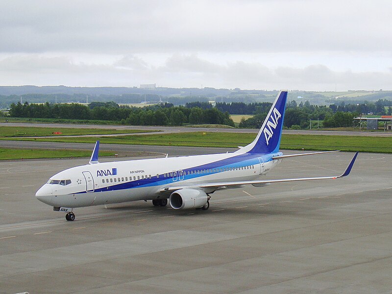 File:Boeing 737-800 (All Nippon Airways) 60.jpg