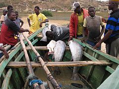 Pescadores Angola.JPG