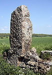 Menhir Danthine