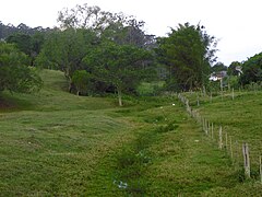 Naciente en Pardinho