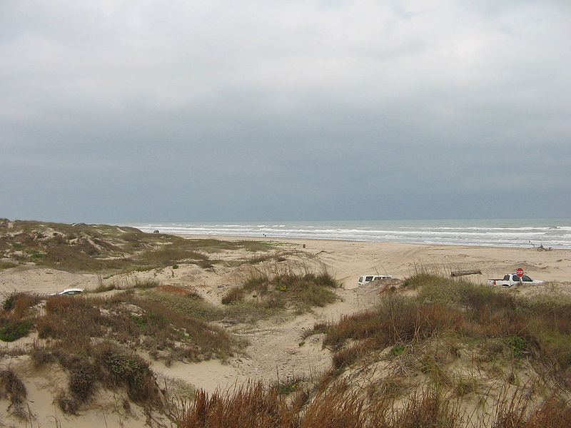 File:Boca Chica Dunes.JPG