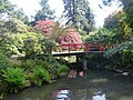 Heart Bridge