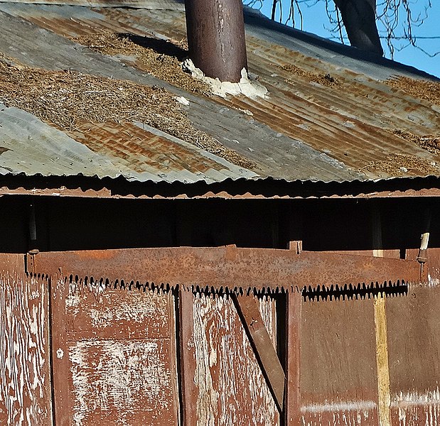 File:Rusted Saw Blade, Yucaipa Adobe, CA 2-15-15b (16548072721).jpg