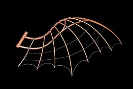 Modello tratto da un disegno di Leonardo che interpreta uno studio di ala tesa e non più "a sportelli"; simile all'ala di pipistrello, è costituito da un perno principale, da cui partono i raggi dell'armatura, fatti di canne.[3]