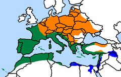 Laranja, verão; verde, todo o ano; azul, inverno