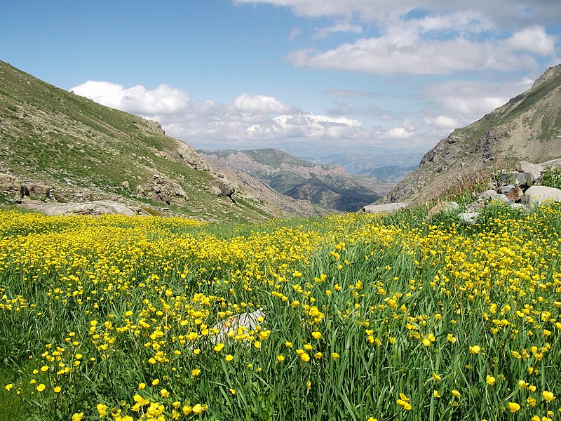 File:Vadi Manzarası... - panoramio.jpg