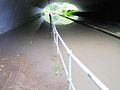 Devlins Creek, in flood under the M2, looking to Sutherland Road