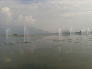 View of the Dal Lake from Foreshore Road