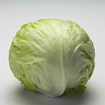 Iceberg lettuce