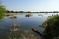 Keoladeo National Park (UNESCO Heritage site)