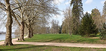 Parc des Bourins, Vichy - pelouse centrale.jpg