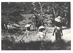 The last female mail carrier service..jpg