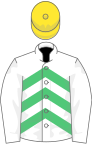 White and emerald green chevrons, white sleeves, yellow cap