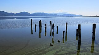 Lago Puccini, Italy.jpg