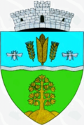 Wappen von Naidăș