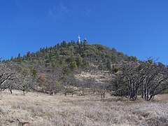 Looking towards the summit of Roxy Ann Peak