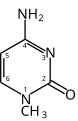 1-methylocytosinum (dS)