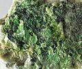 aktashite