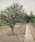 Gustave Caillebotte, Apple Tree in Bloom (Pommier en fleurs), c. 1885