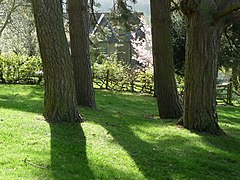 Cottage below Haywood Farm, Kington - geograph.org.uk - 2351806.jpg