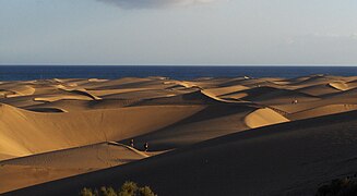 Maspalomas Dunes