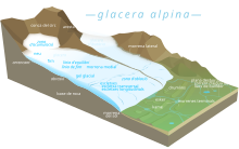 Esquema d'una glacera indicant els sectors amb neu, neu cingesta i glaç.