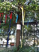 Wishing tree in New Cross, London