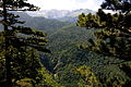 Sutjeska Millî Parkı