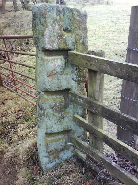 File:Ancient Gatepost - geograph.org.uk - 635534.jpg