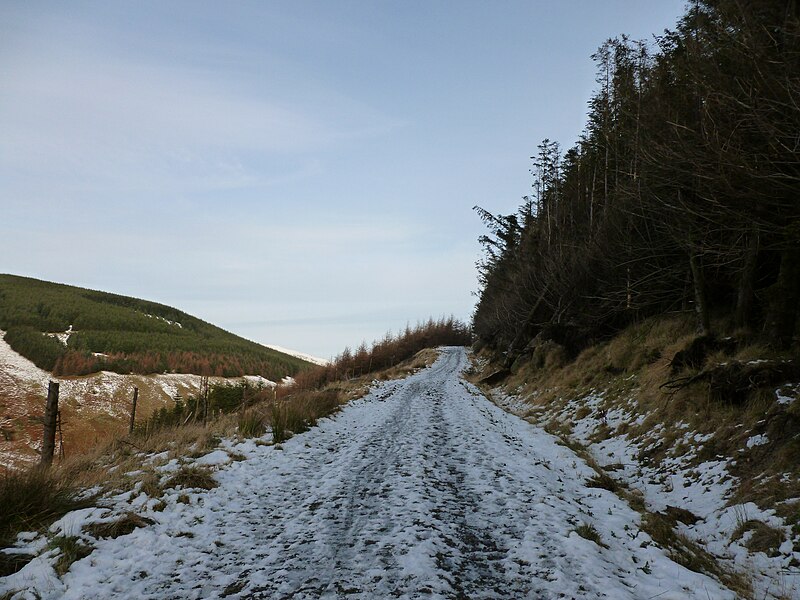 File:Forestry track, Hillfoot Hill - geograph.org.uk - 4764809.jpg