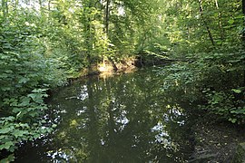 Die Untere Paußnitz von der Schwarzen Brücke aus Richtung Osten