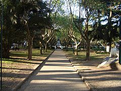 Provincia de Buenos Aires - Olivos - Plaza.jpg