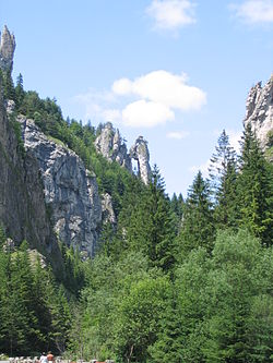 Pohled na Tiesňavy, skalní útvar Mních v středu