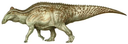 Edmontosaurus sp. reconstruction (flipped).png