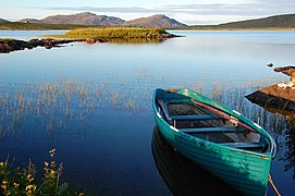 Eilean Chreamh in Loch Dun na Cillie