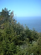 Gorda, California - A view of the Pacific Ocean