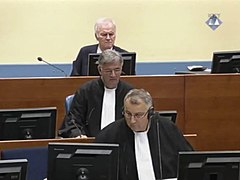 Mladić Trial - img 002.jpg