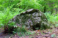 Wanderblockteilstück nordischer Herkunft mit eingehauenem Tatzenkreuz, allerdings als lateinisches Kreuz realisiert; Teil einer Grenzsteinreihe aus dem 15. Jahrhundert, die von Sieversen westwärts in den Rosengarten verläuft; seit dem 10. Juni 1955 Naturdenkmal