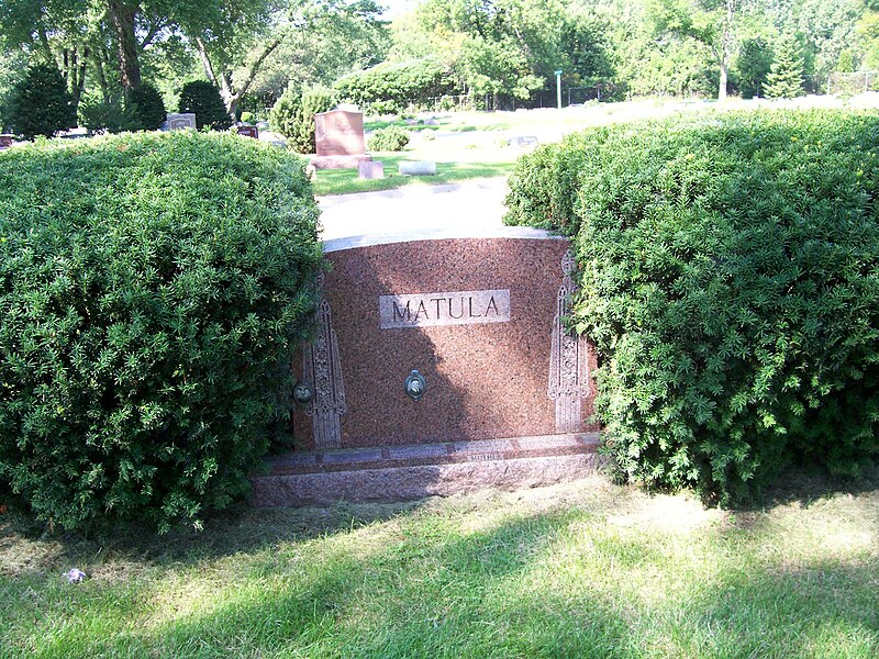 File:AlanKulwickiGravestoneFamilyPlot.jpg