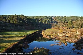 Ribeira do Carapito - Portugal (10552535453).jpg