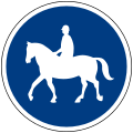 Horse riding track