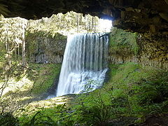 Middle North Falls in Silver Falls State Park