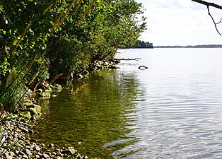 Norra Björkfjärden sedd söderut från Adelsö-Sättra naturreservat