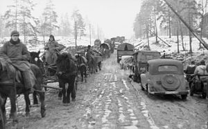 Відступ німецьких військ з-під Ленінграду. Зима 1944 року